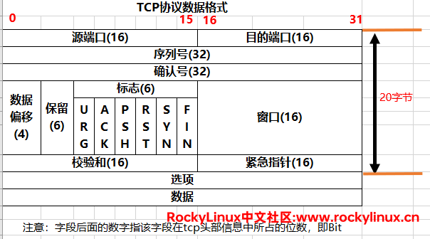 tcp头部